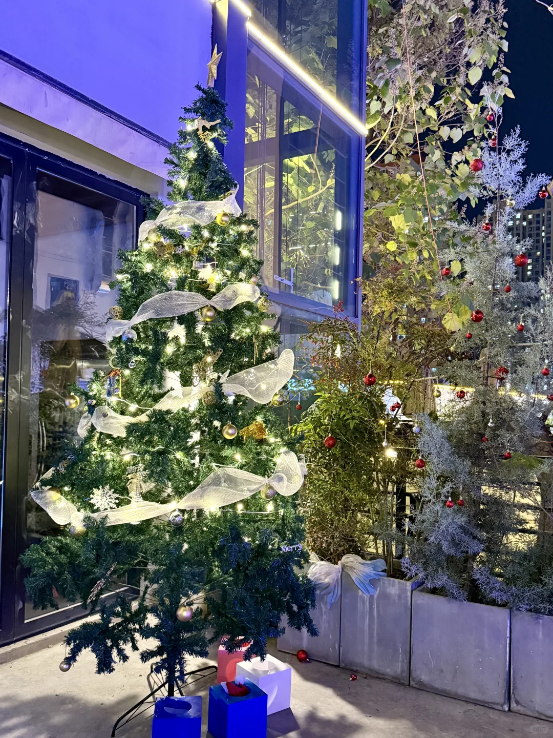 来石家庄不容错过的打卡地！！！