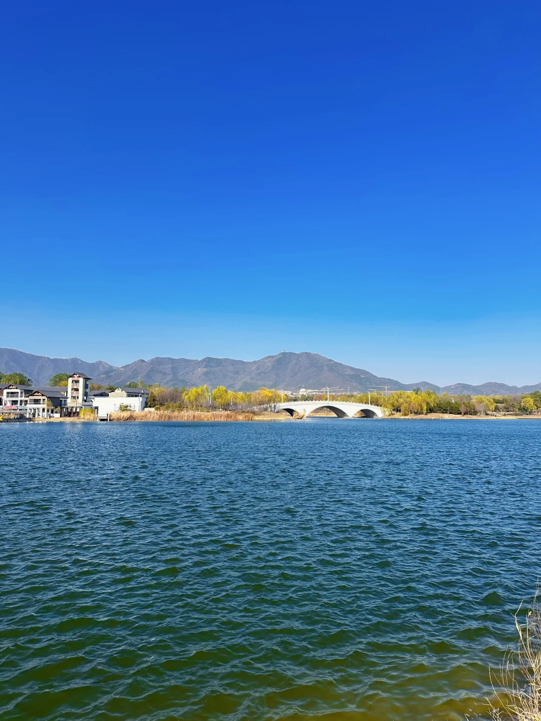 庄里初冬遛娃不费妈！龙泉湖承包全天快乐🦆