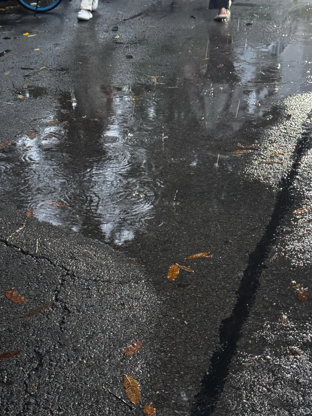 师大研一|读研日记📔