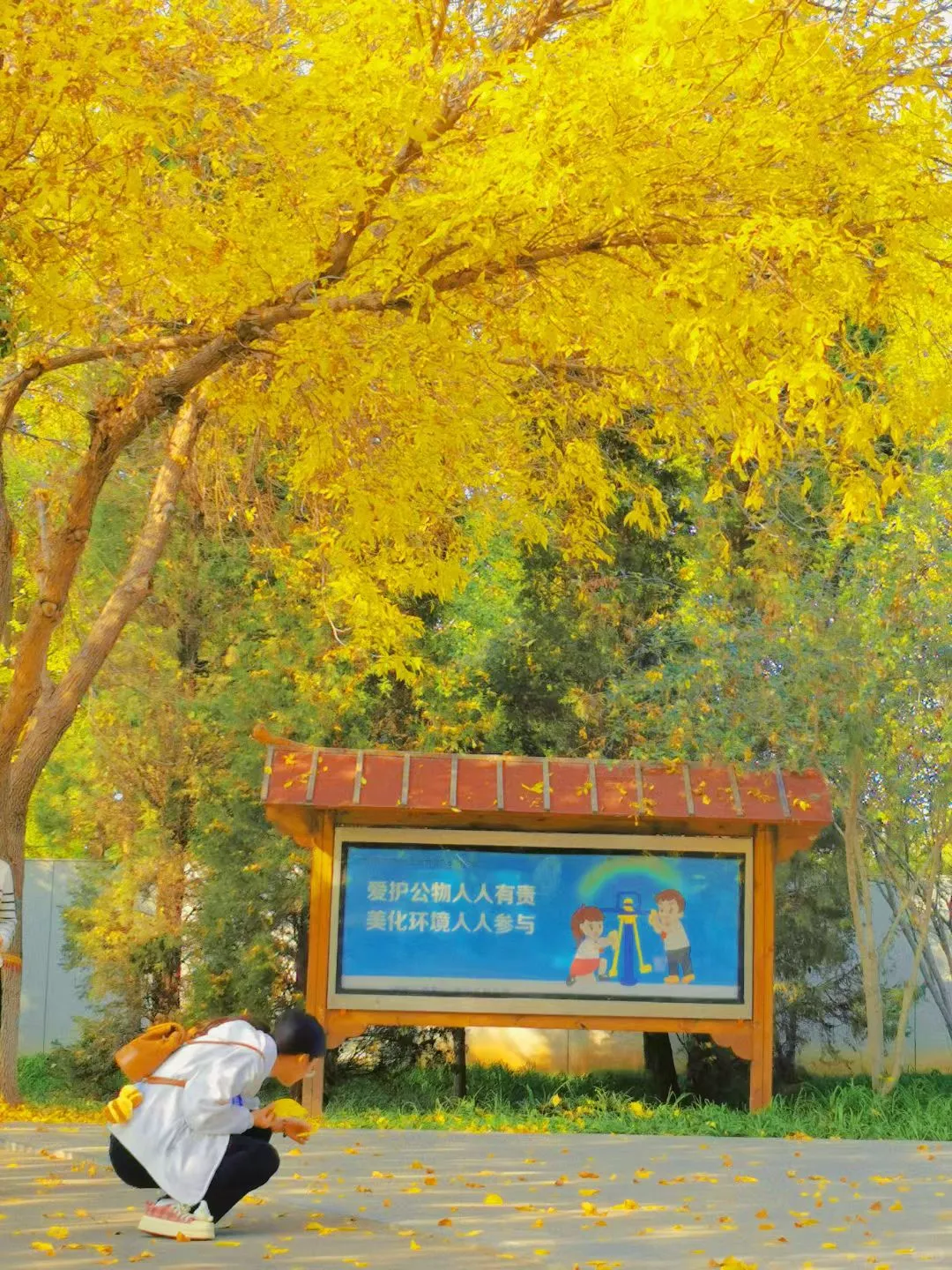 🍂 石家庄植物园的浪漫邂逅