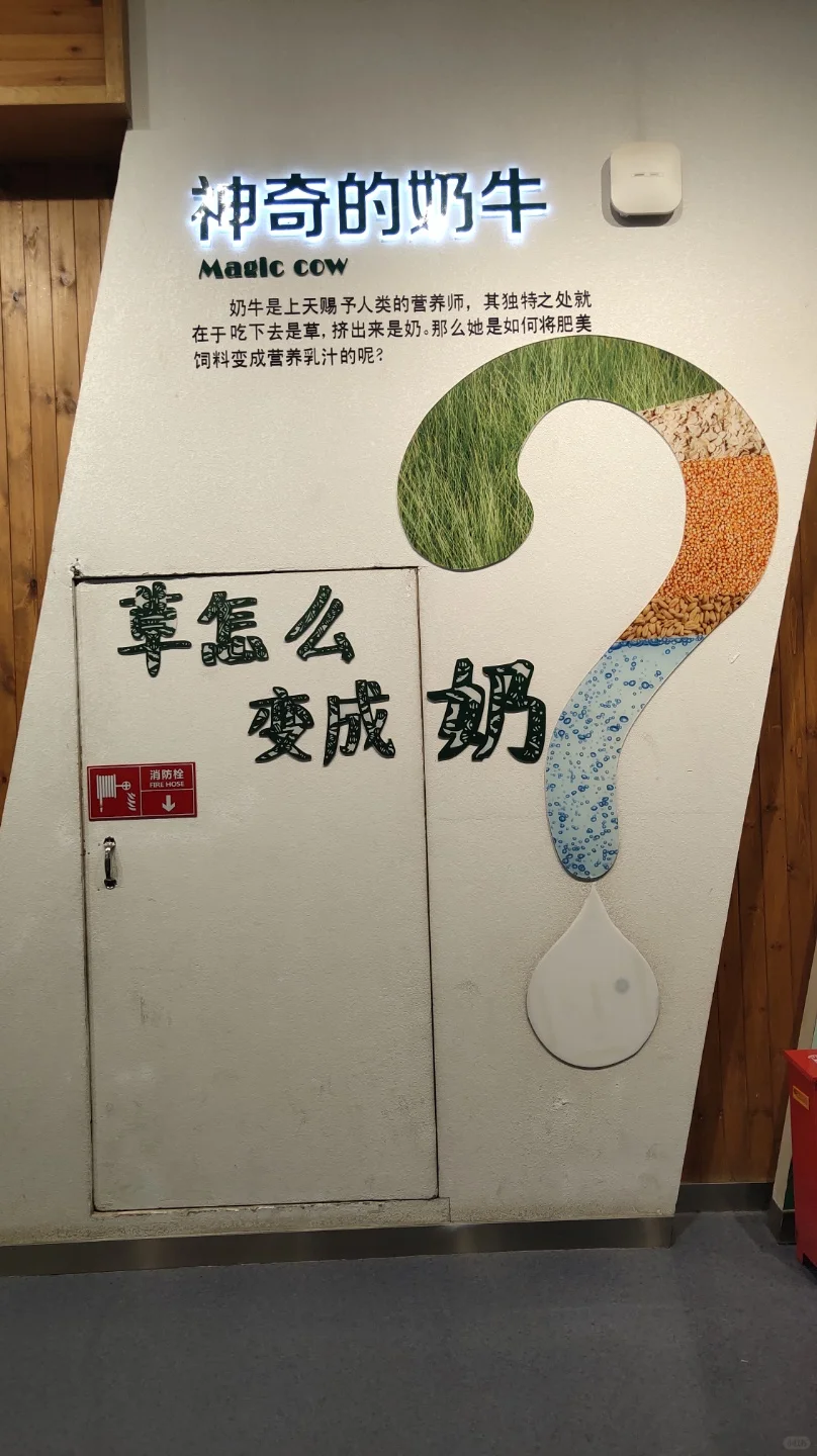 石家庄遛娃|奶牛牧场