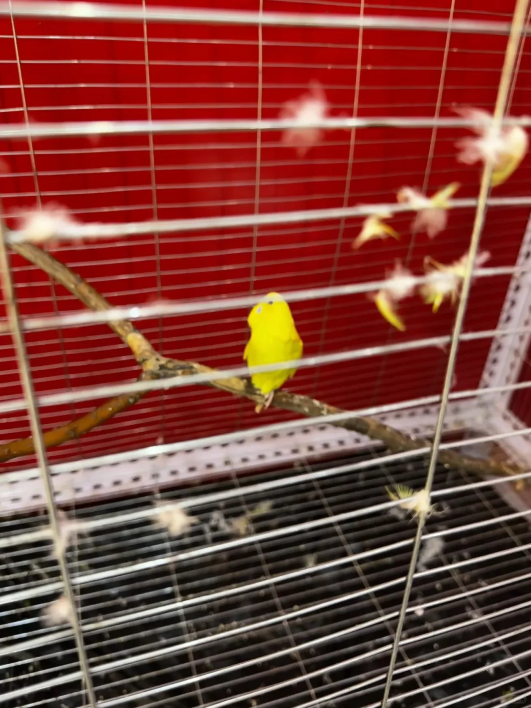 师大研一|读研日记📔