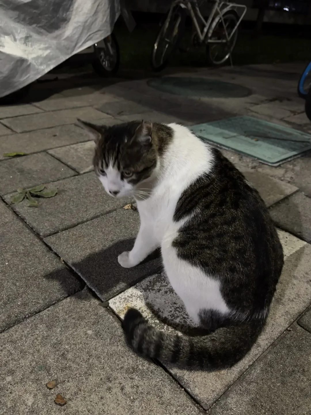 师大研一|读研日记📔