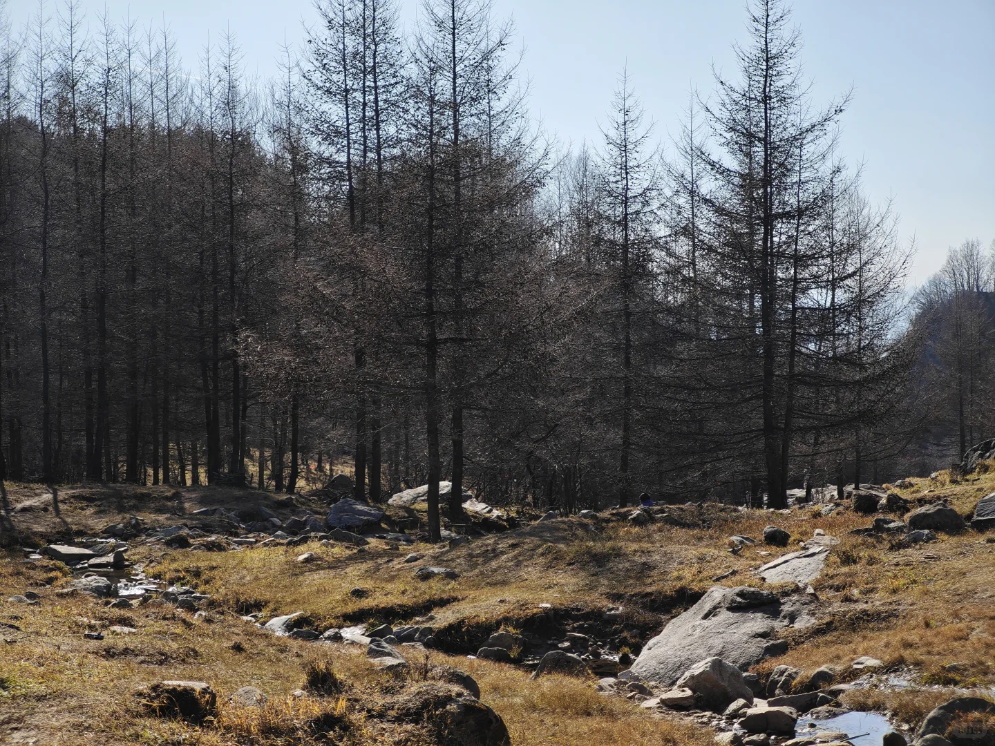 石家庄爬山搭子，有没有