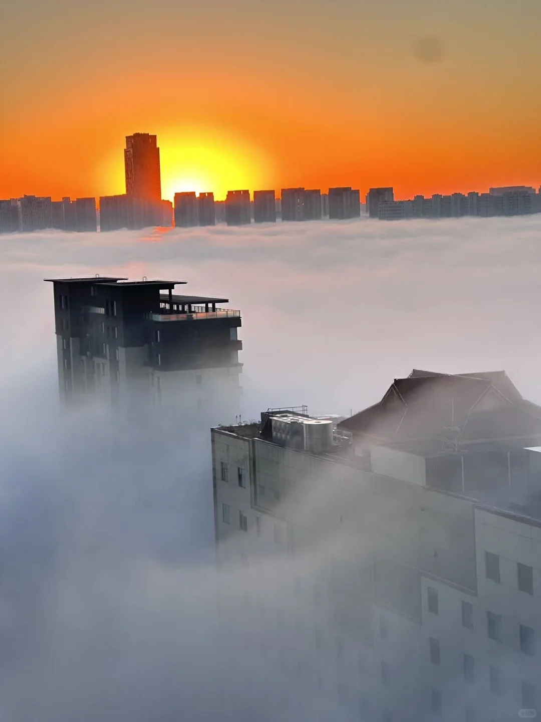 今日份石家庄～