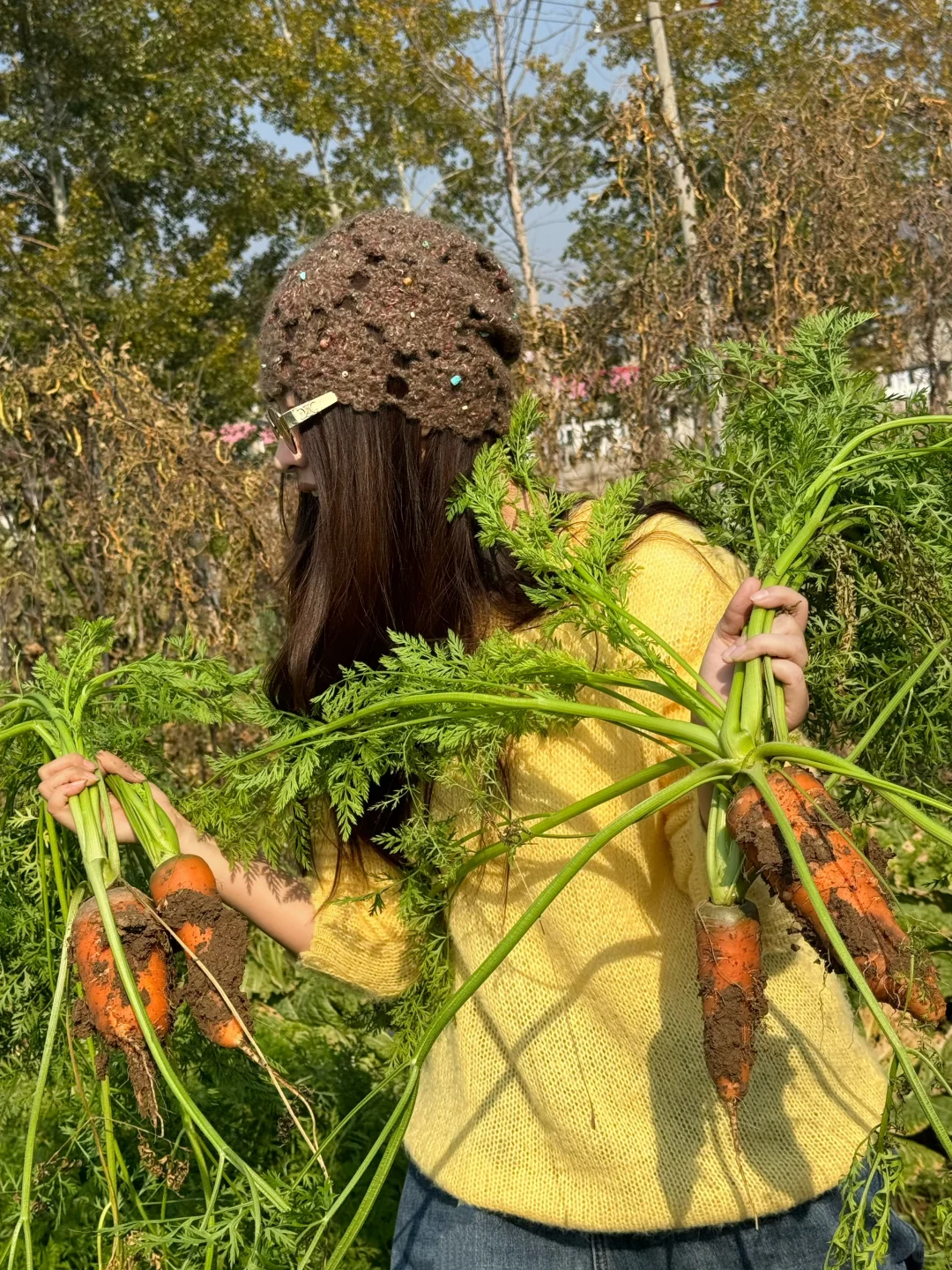 采摘的快乐谁懂！石家庄开车一小时平山采摘