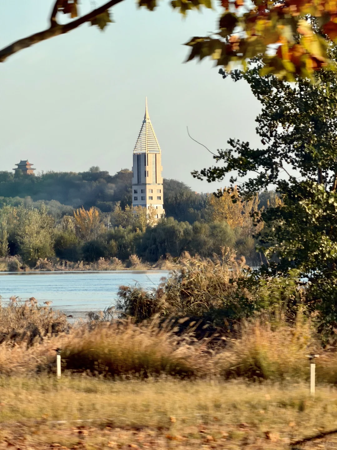石家庄秋天嘎嘎美！