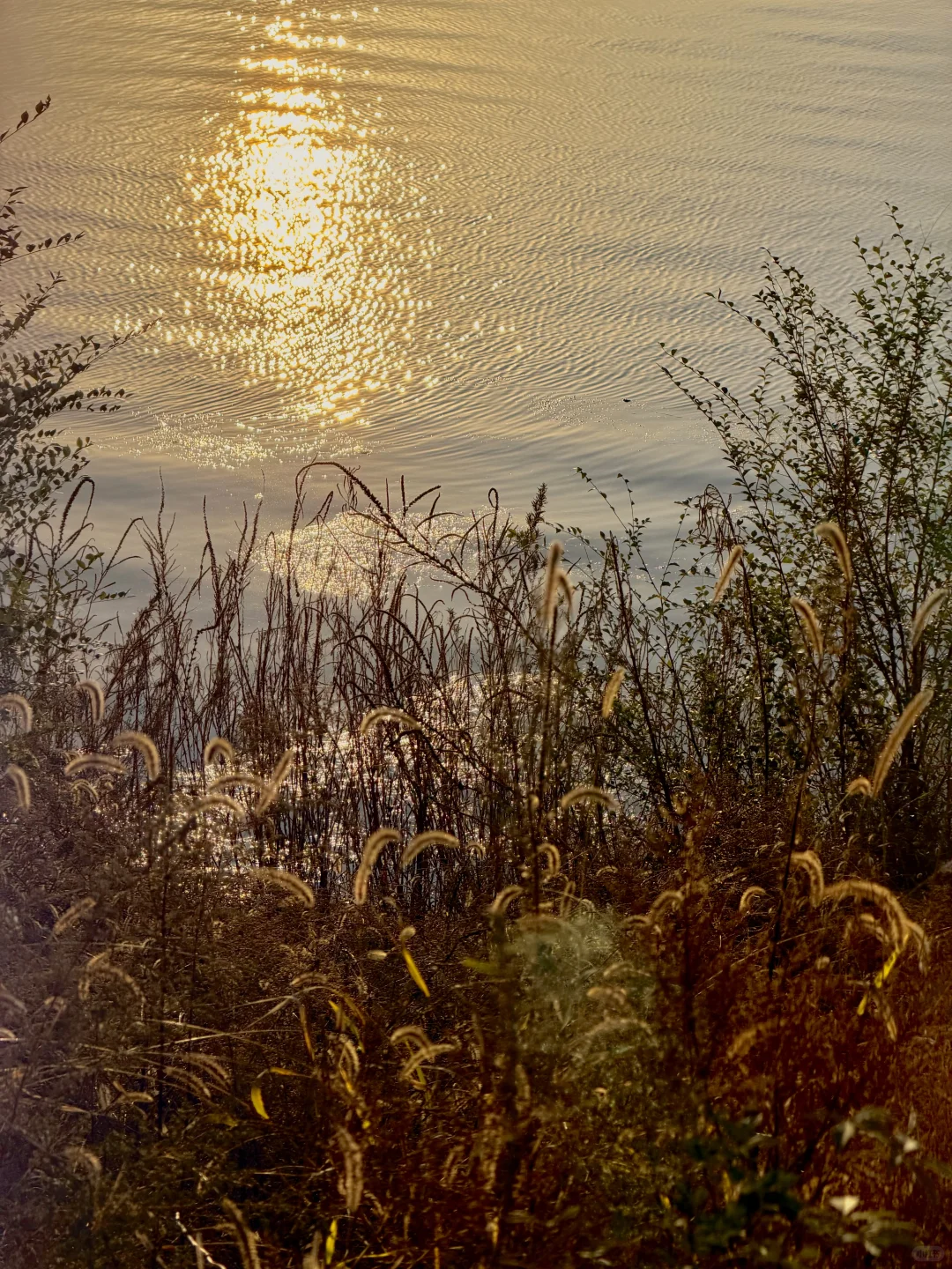 石家庄秋天嘎嘎美！