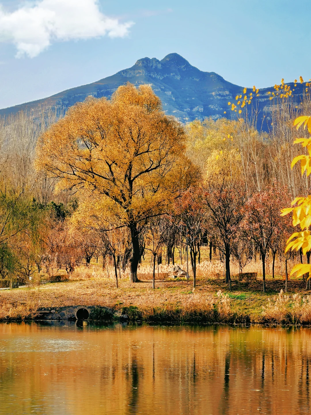 石家庄杏花沟的秋🍁避世的氛围感浓浓！