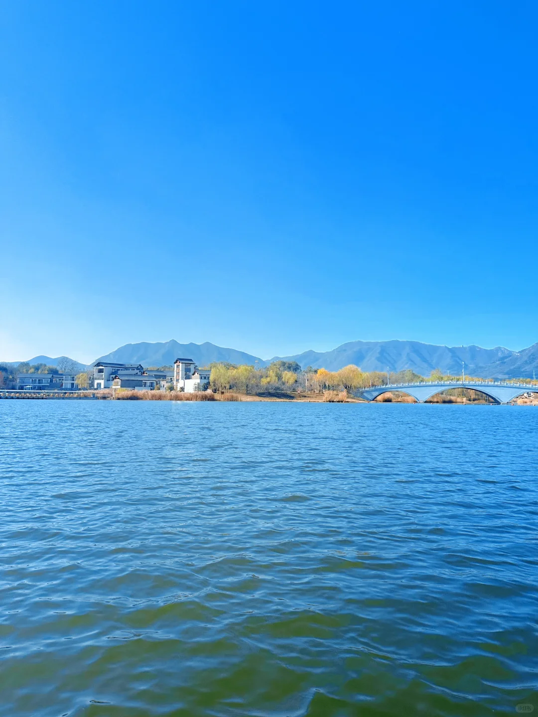 庄里初冬遛娃不费妈！龙泉湖承包全天快乐🦆