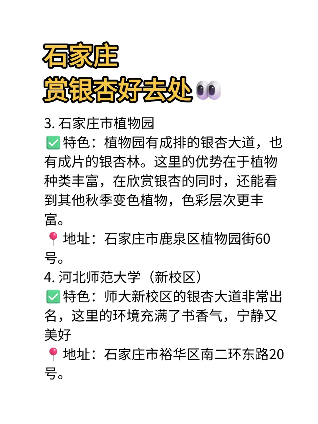 石家庄｜赏银杏好去处！