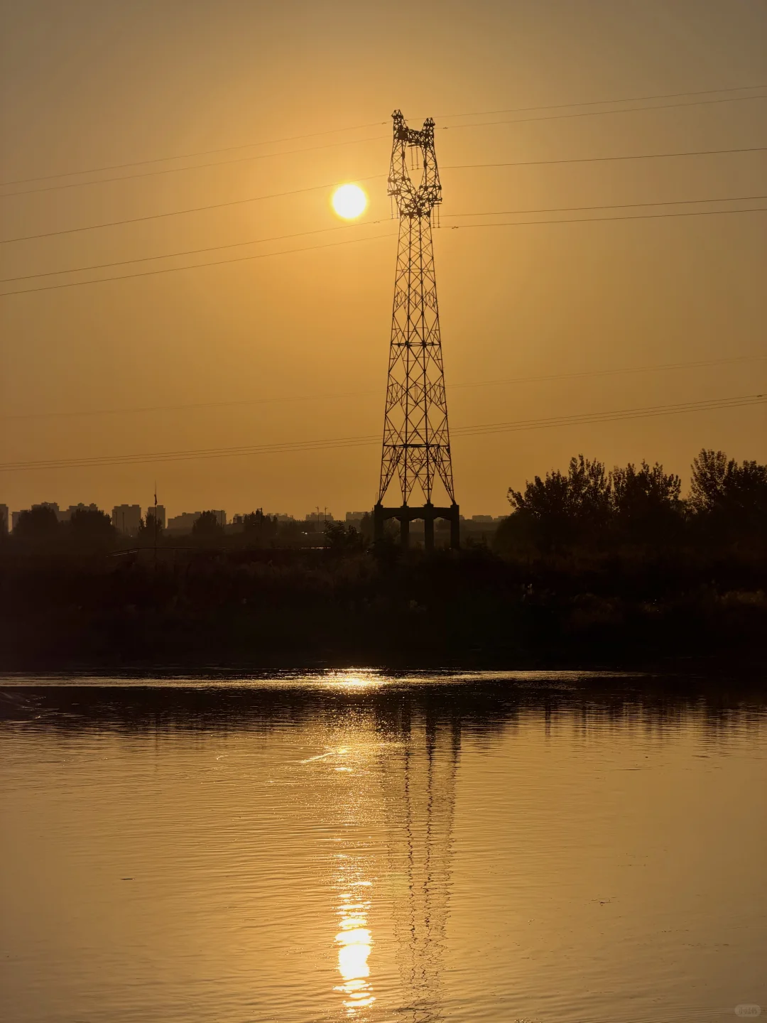 石家庄秋天嘎嘎美！
