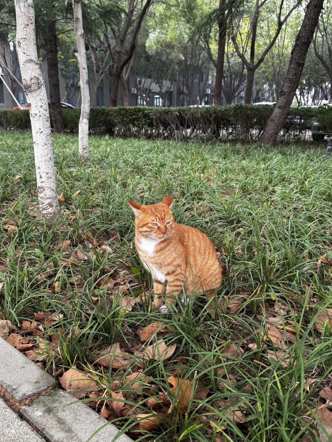 师大研一|读研日记📔