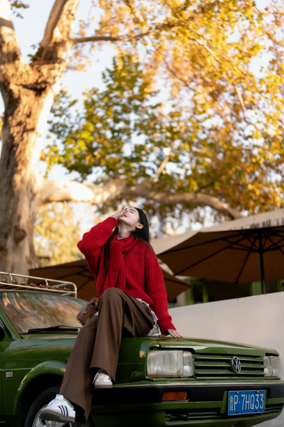 不在南法！在石家庄！！