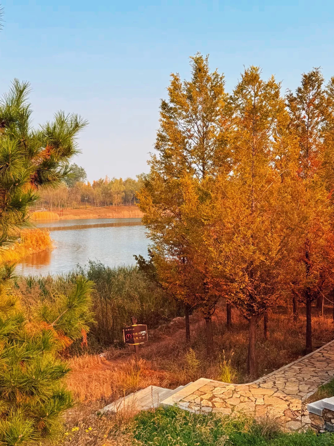 石家庄，秋季周末好去处🍂