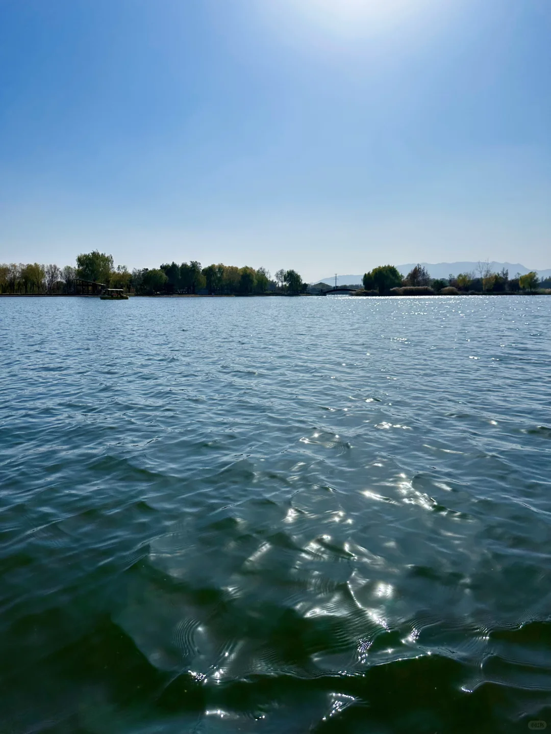 庄里初冬遛娃不费妈！龙泉湖承包全天快乐🦆