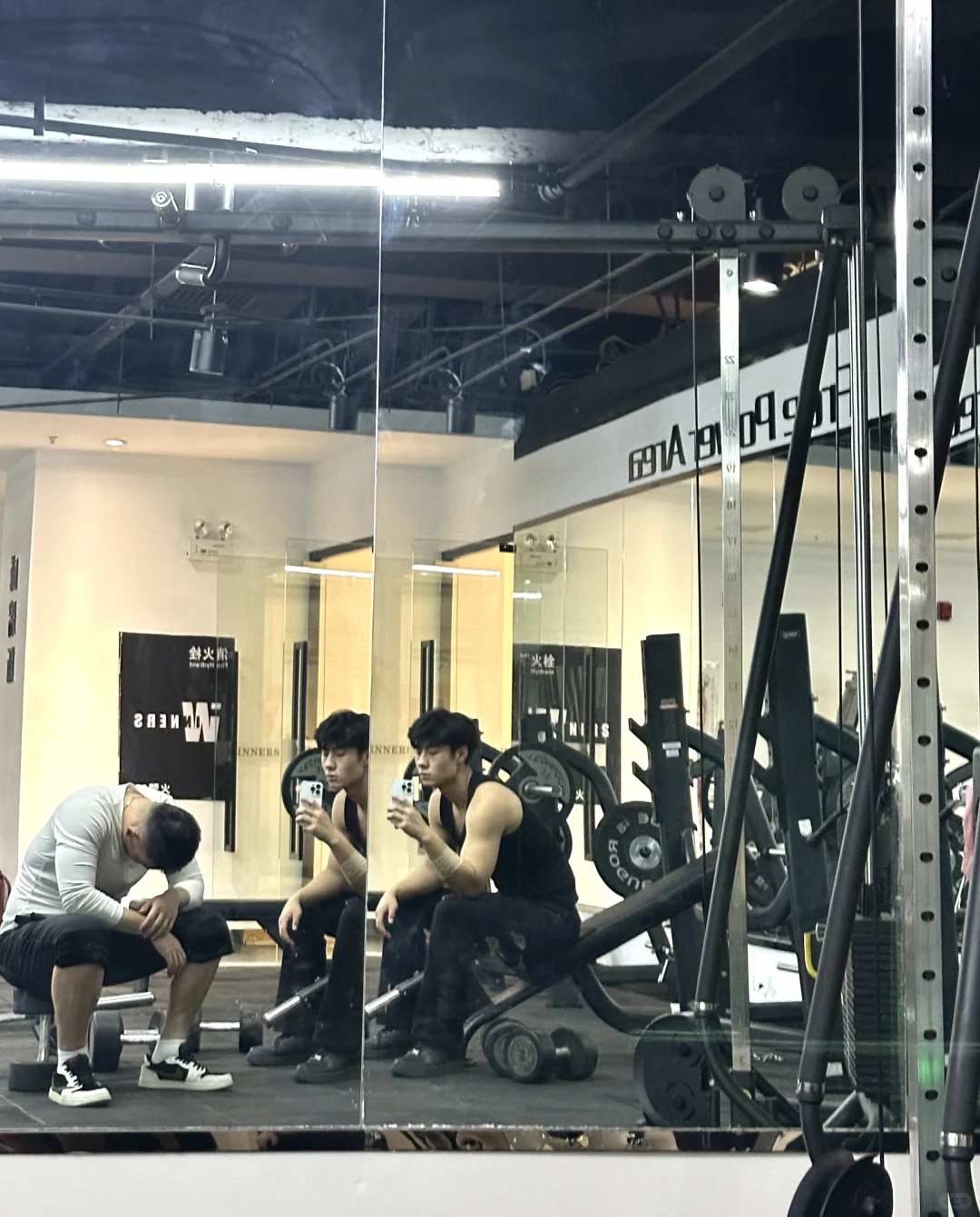 石家庄 01 188 爱健身 会打球