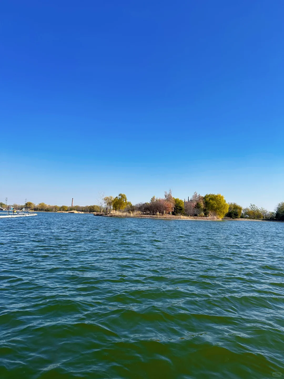 庄里初冬遛娃不费妈！龙泉湖承包全天快乐🦆