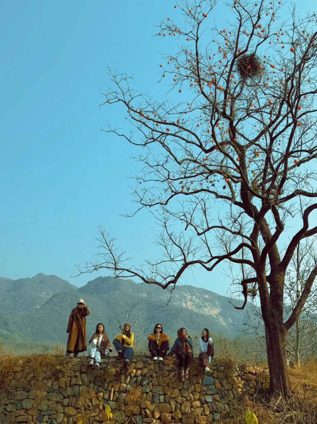 采摘的快乐谁懂！石家庄开车一小时平山采摘