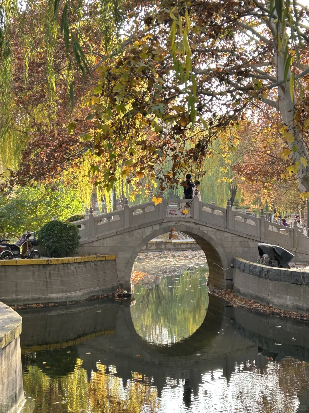 石家庄平安公园真的很出片啊…