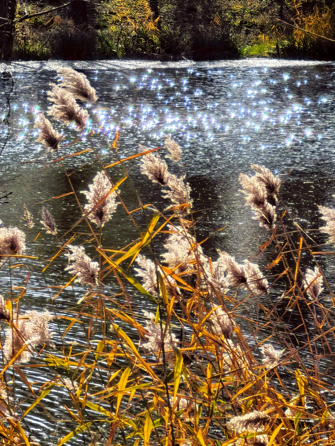 石家庄杏花沟的秋🍁避世的氛围感浓浓！