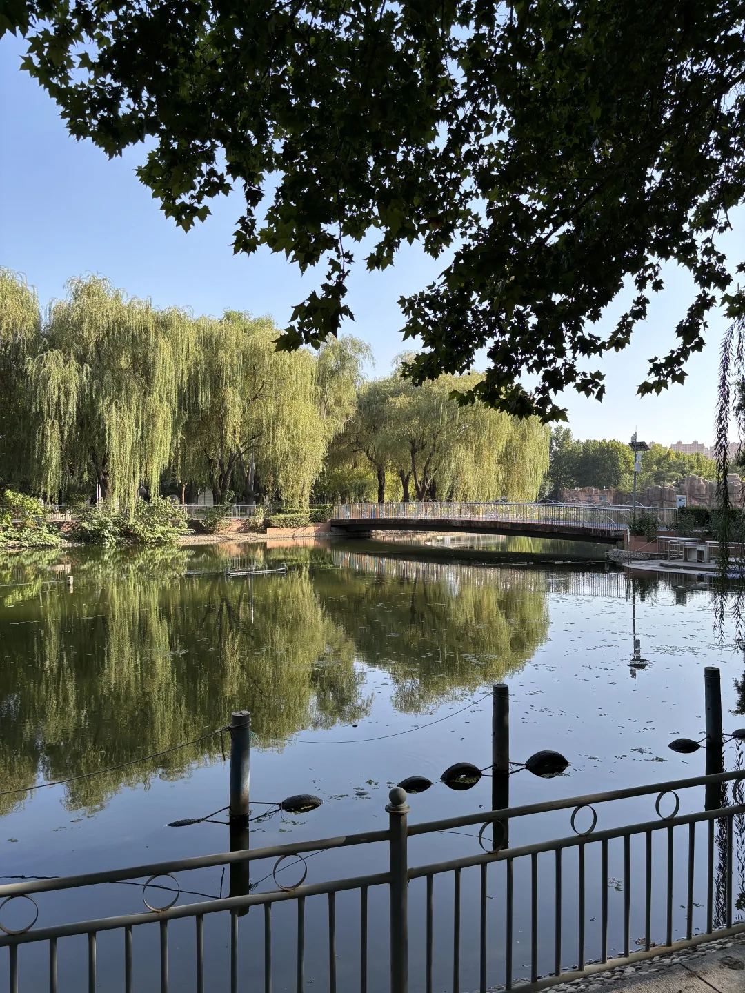 石家庄，初秋的公园真的太治愈了～