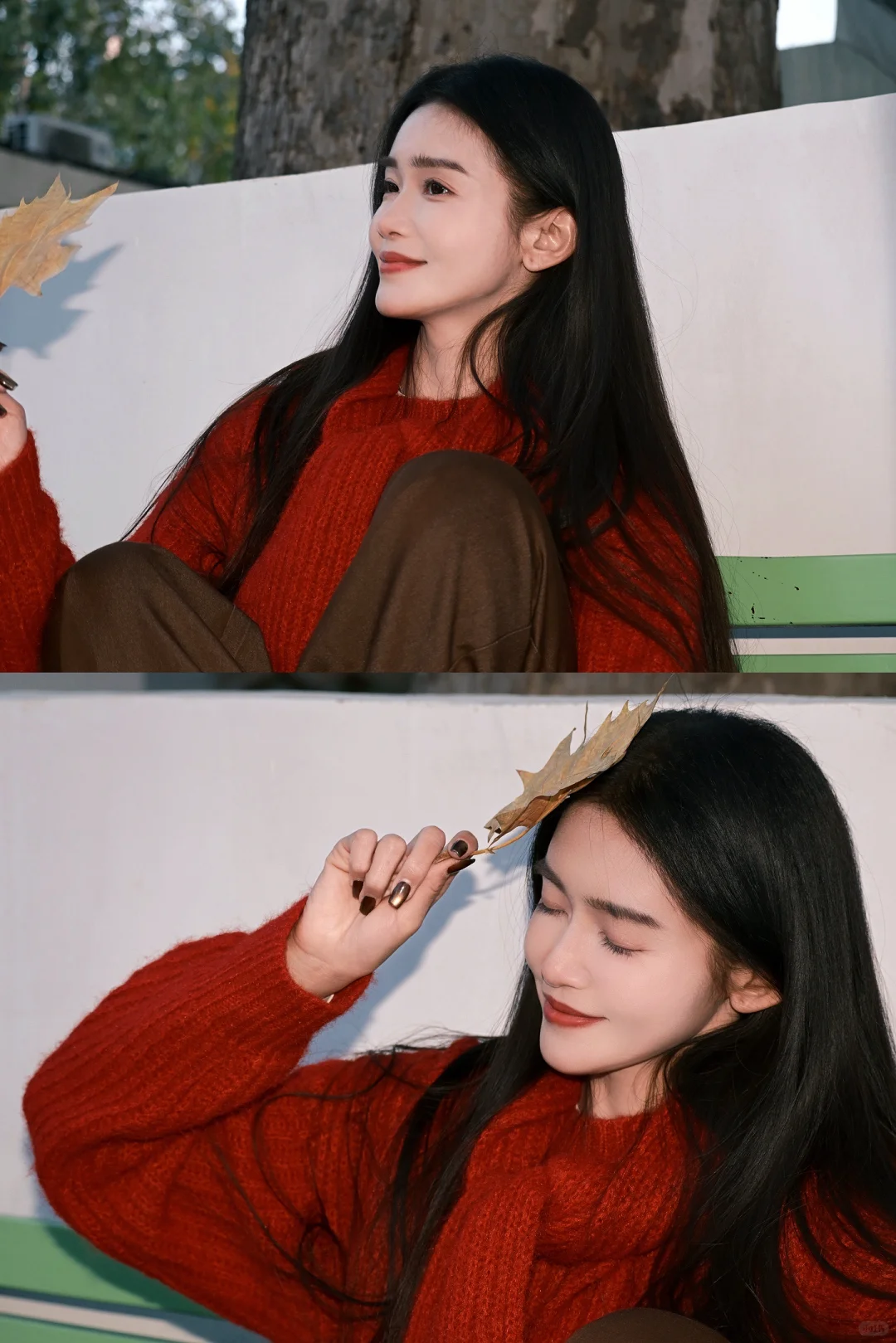 不在南法！在石家庄！！