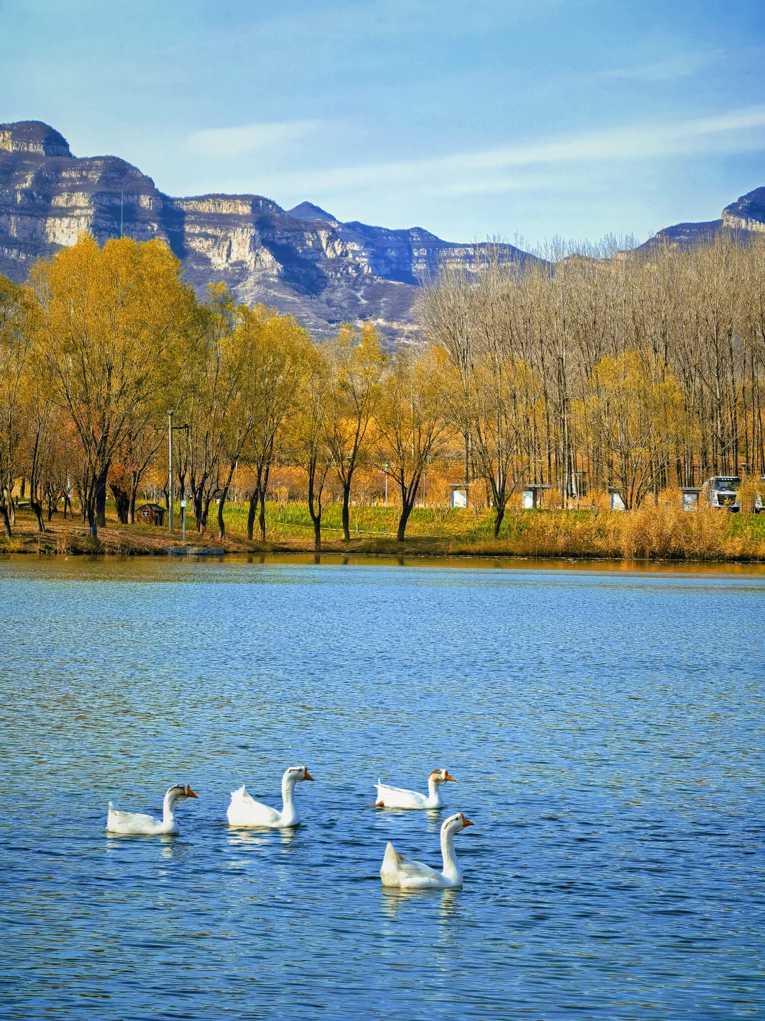 石家庄杏花沟的秋🍁避世的氛围感浓浓！