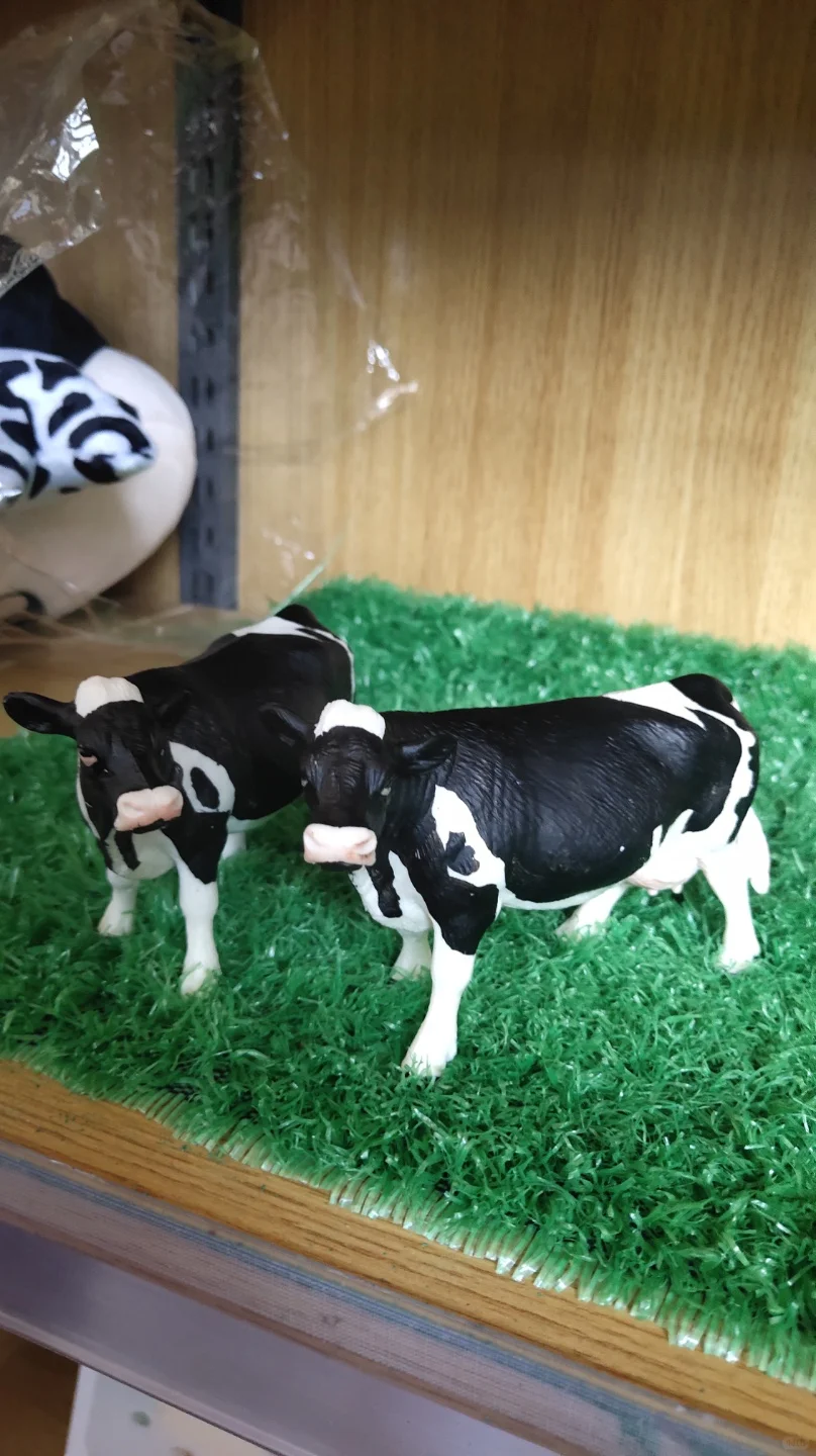 石家庄遛娃|奶牛牧场