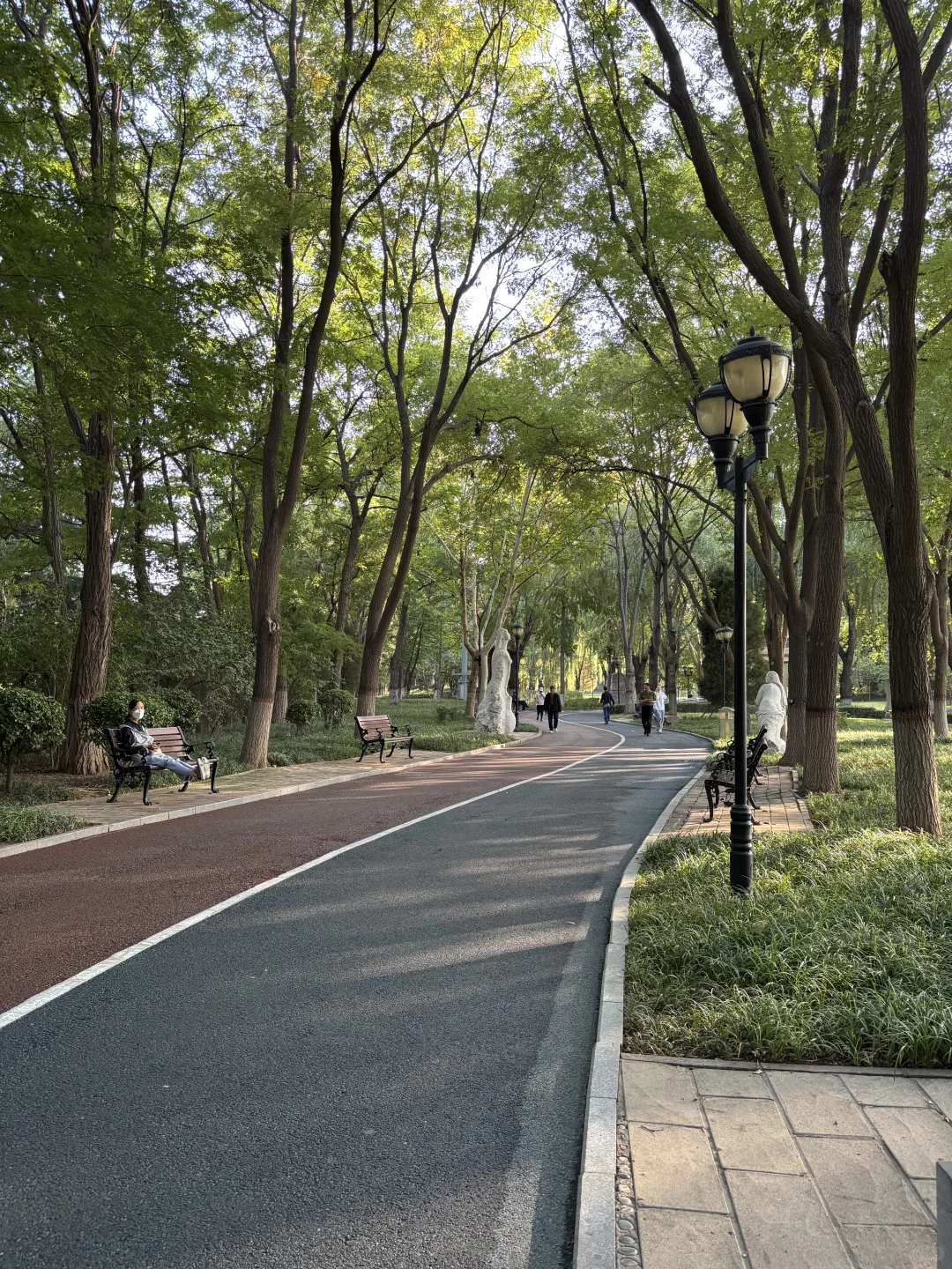 石家庄，初秋的公园真的太治愈了～