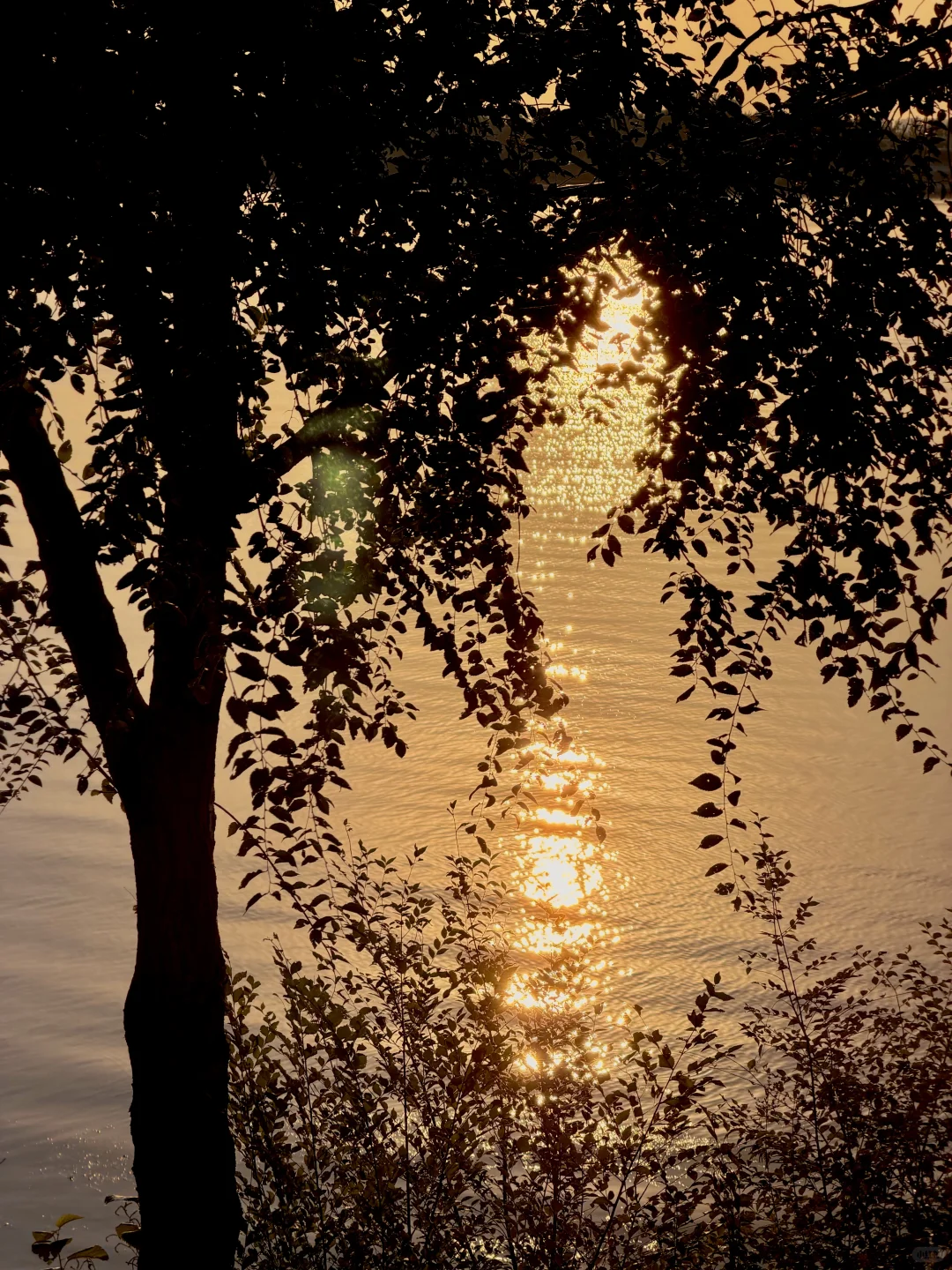 石家庄秋天嘎嘎美！