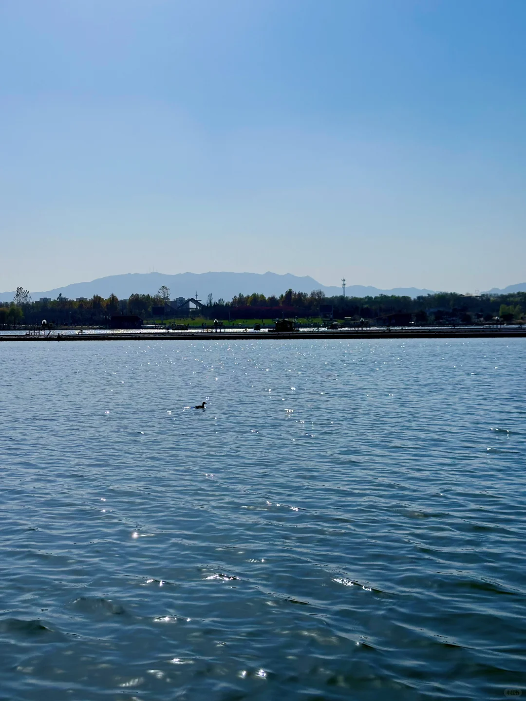 庄里初冬遛娃不费妈！龙泉湖承包全天快乐🦆