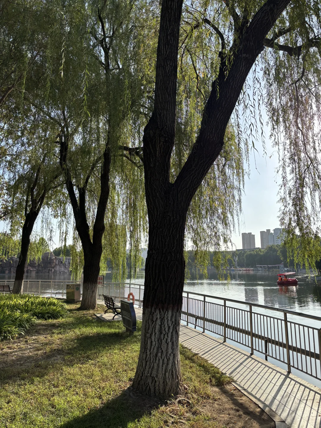 石家庄，初秋的公园真的太治愈了～