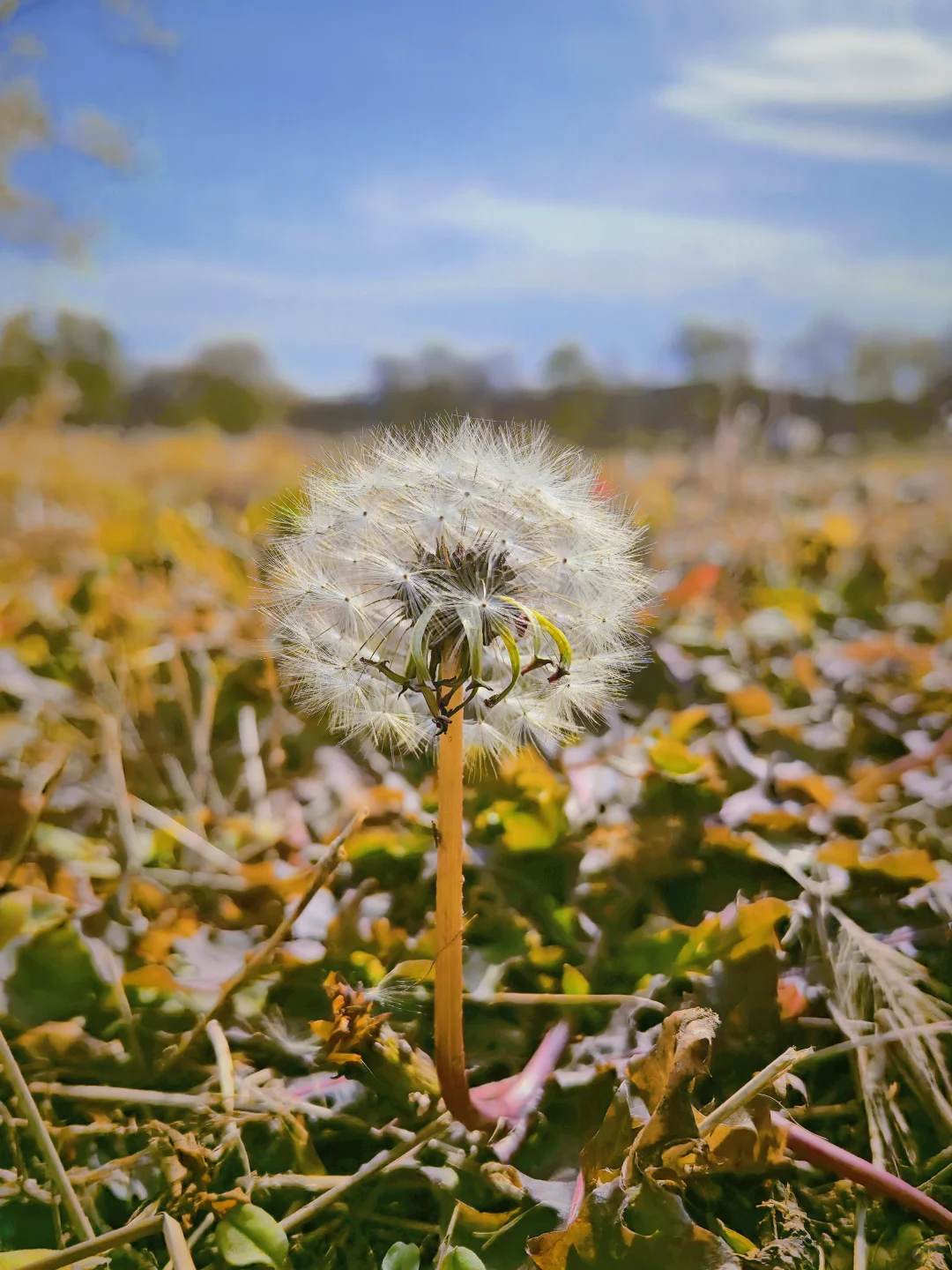 石家庄杏花沟的秋🍁避世的氛围感浓浓！