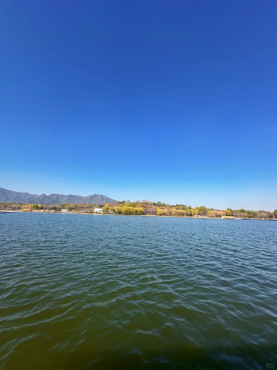 庄里初冬遛娃不费妈！龙泉湖承包全天快乐🦆