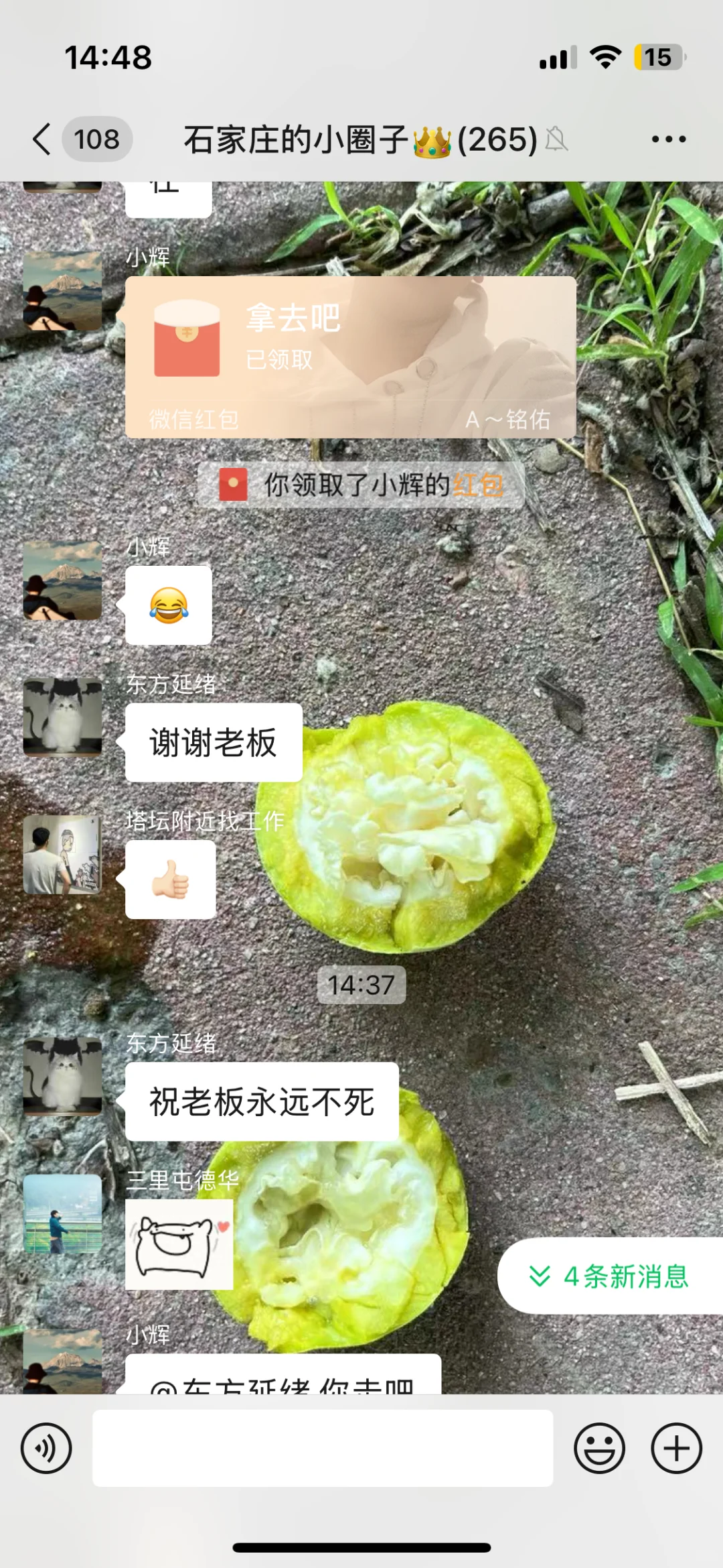 石家庄一起唠嗑闲聊