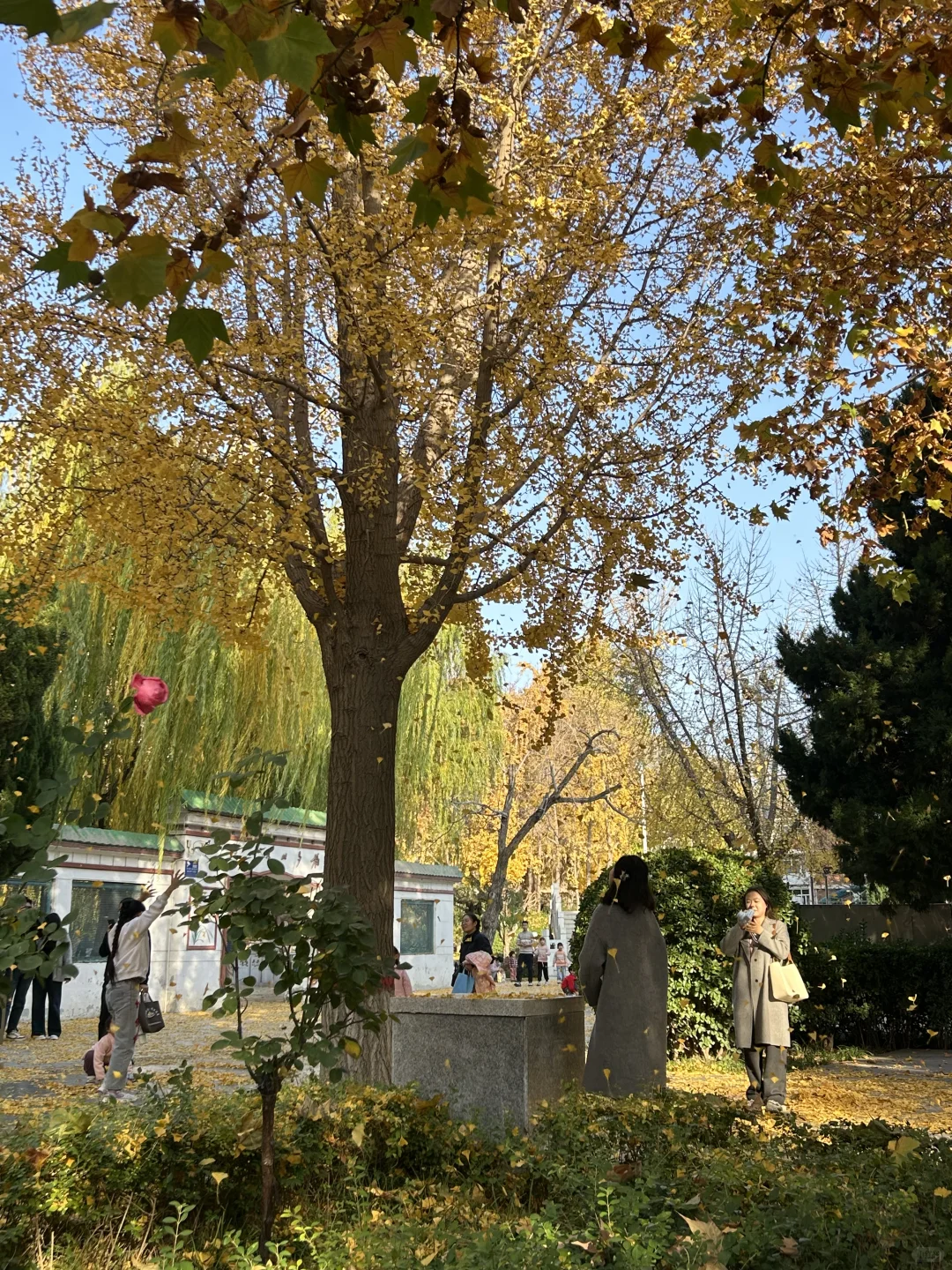 石家庄平安公园真的很出片啊…