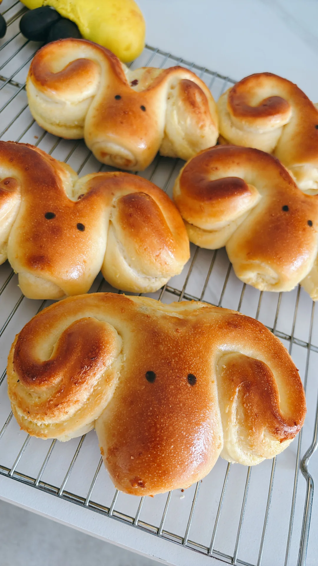 石家庄｜面包店的日常