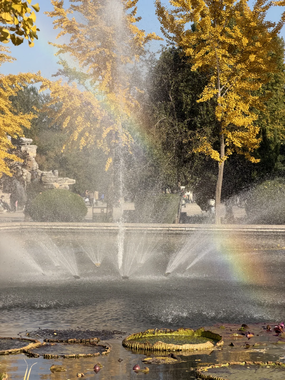 石家庄秋天嘎嘎美！