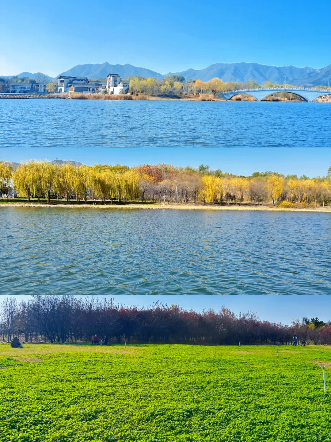 庄里初冬遛娃不费妈！龙泉湖承包全天快乐🦆