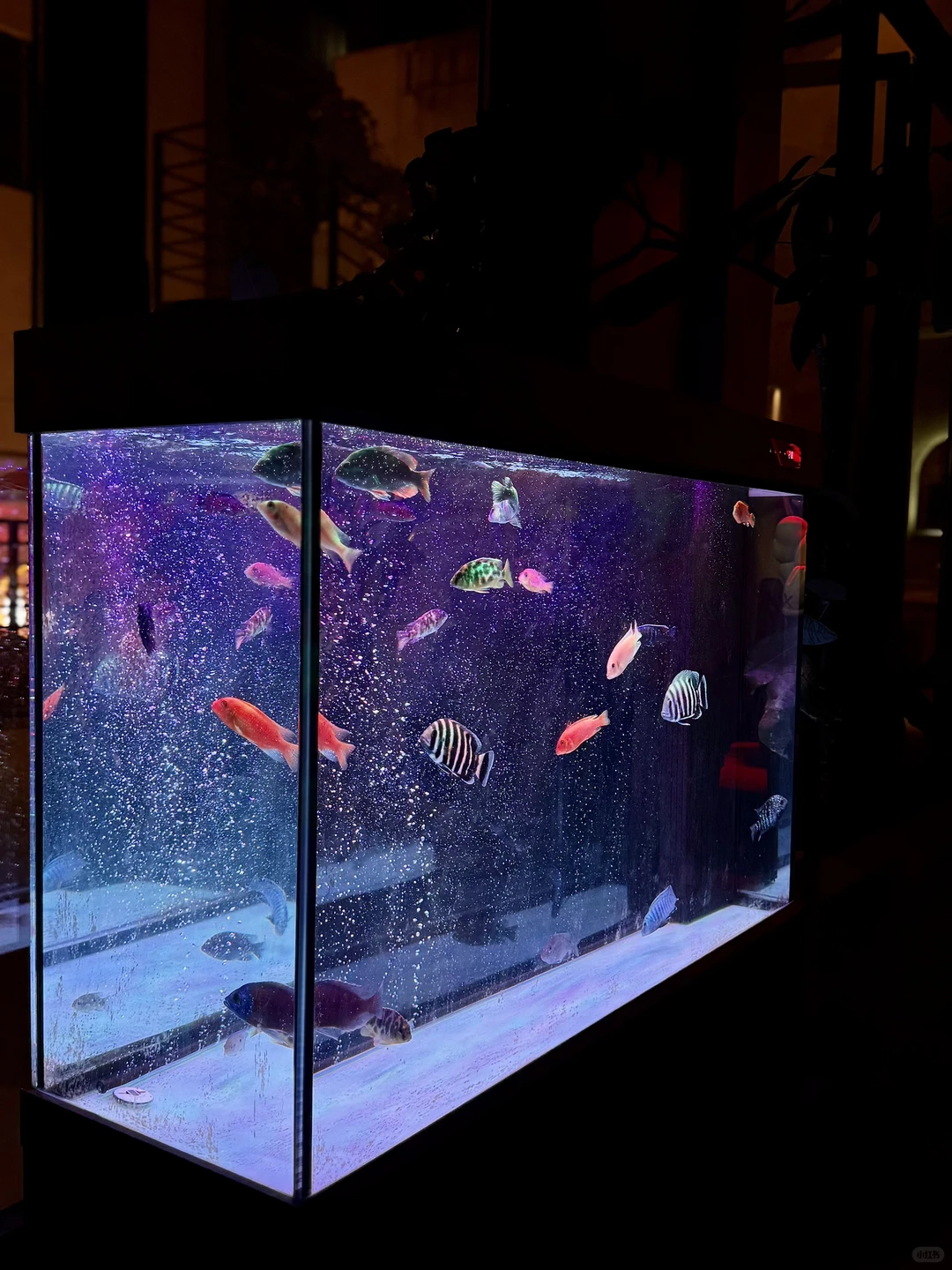 来石家庄不容错过的打卡地！！！