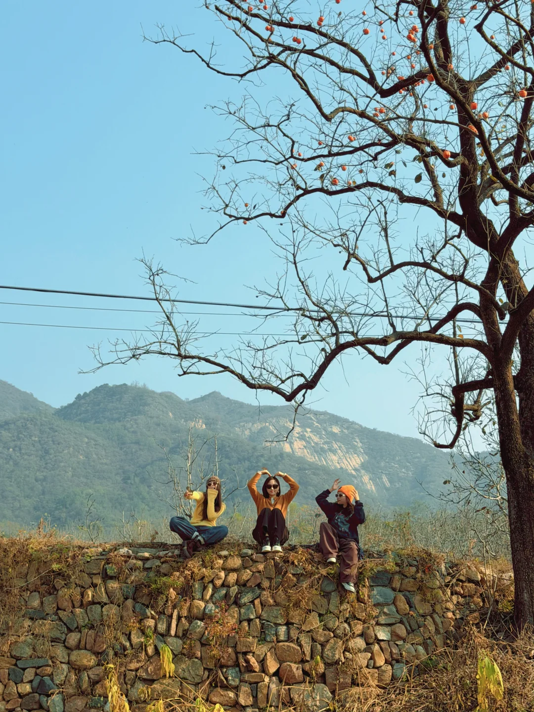 采摘的快乐谁懂！石家庄开车一小时平山采摘