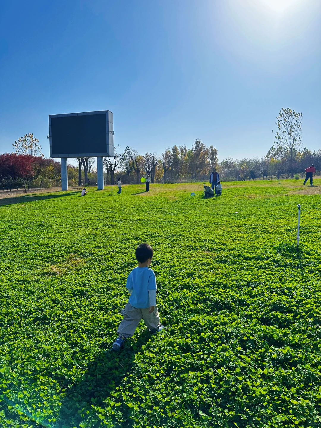 庄里初冬遛娃不费妈！龙泉湖承包全天快乐🦆
