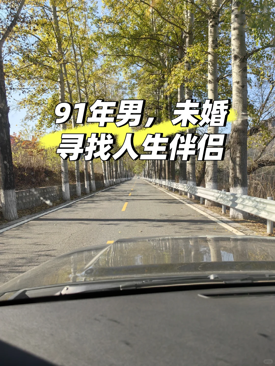 邯郸魏县单身男找结婚对象