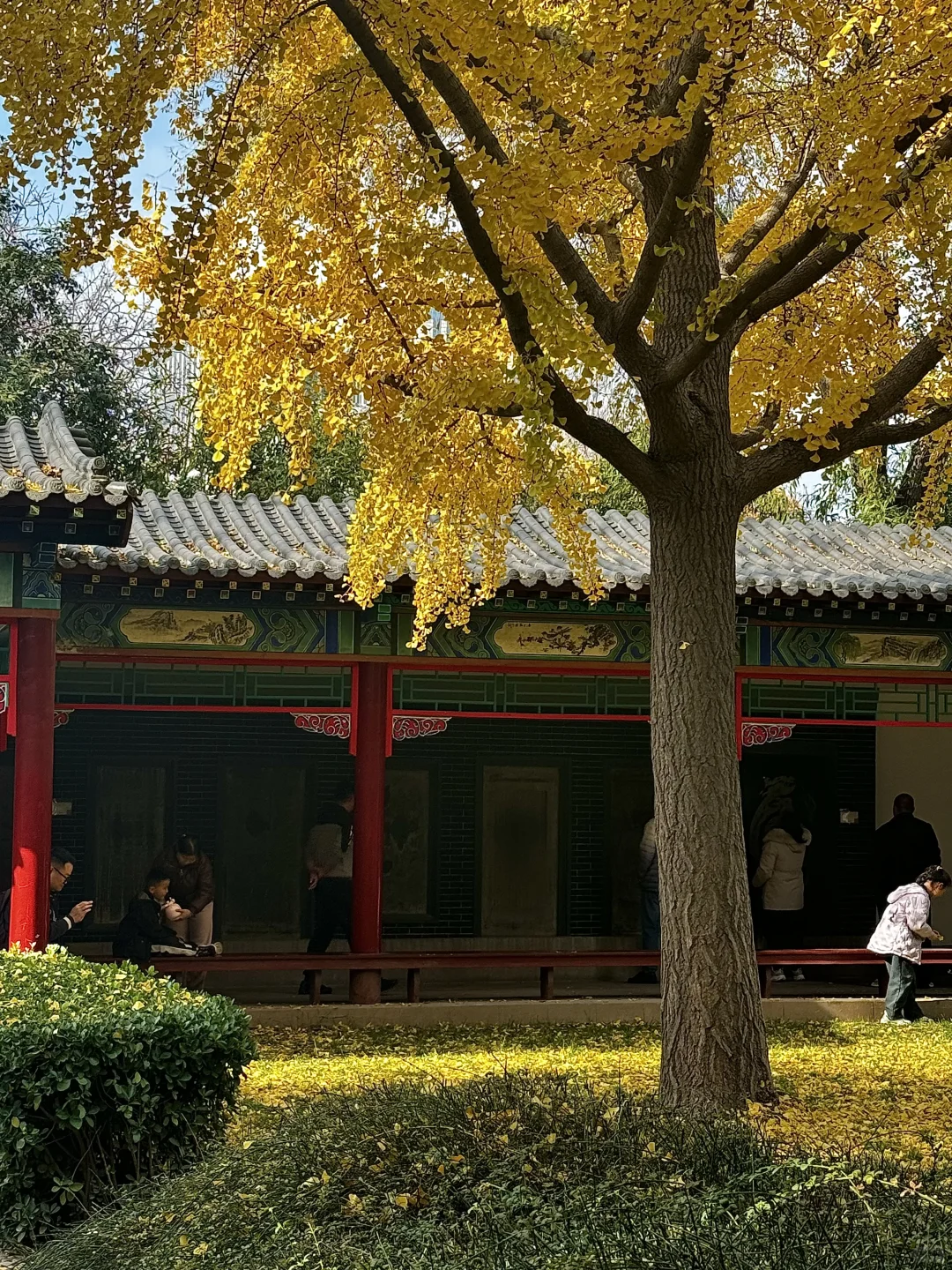 北京出发两日游（3/50）📍邯郸