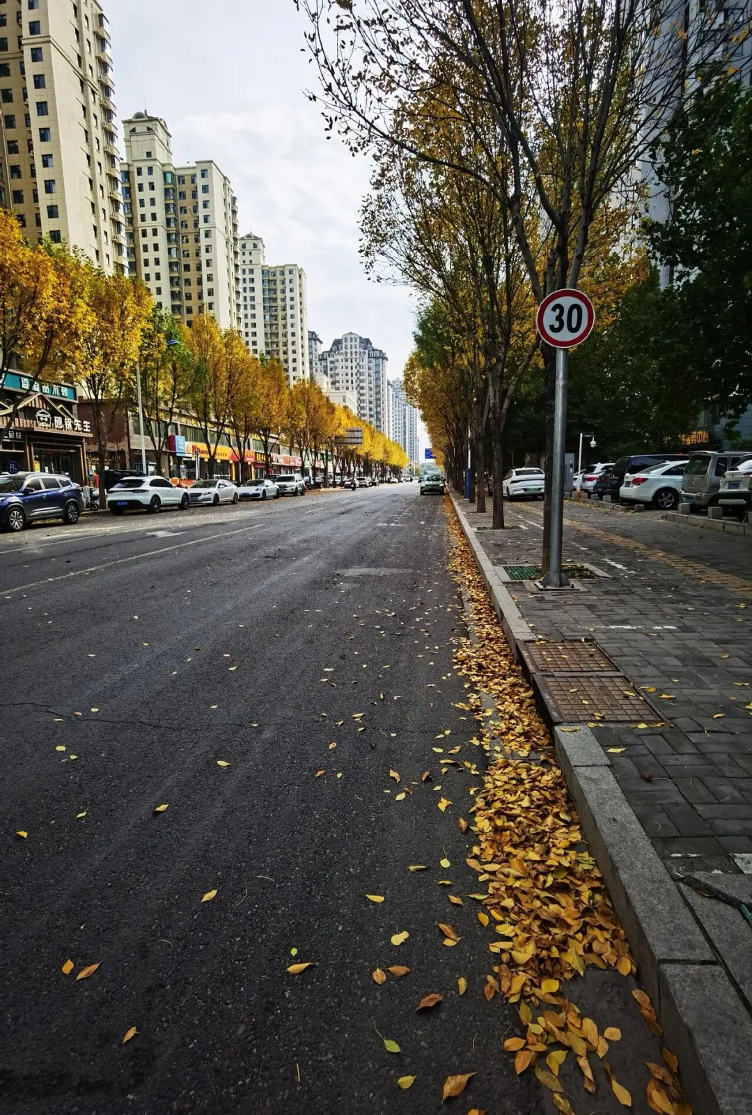 偶遇梵高—在邯郸落叶街头漫步