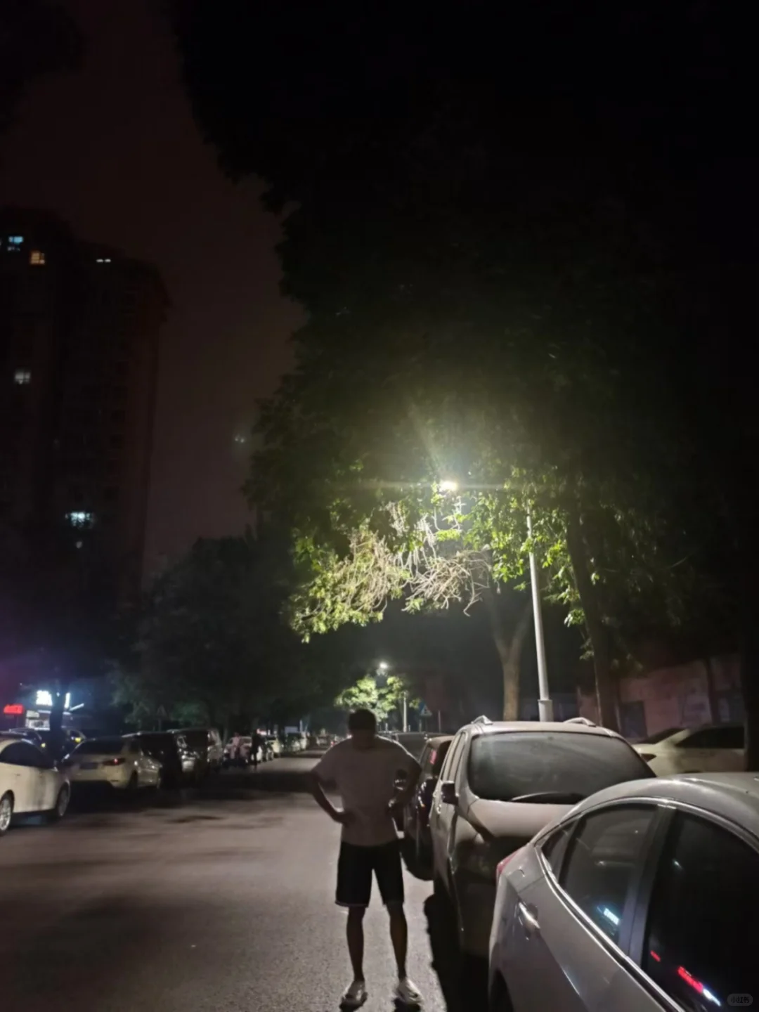 回老家了，准备定居邯郸，分配个女朋友吧