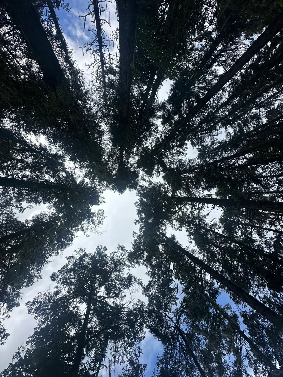 跨年氦气球放飞邯郸