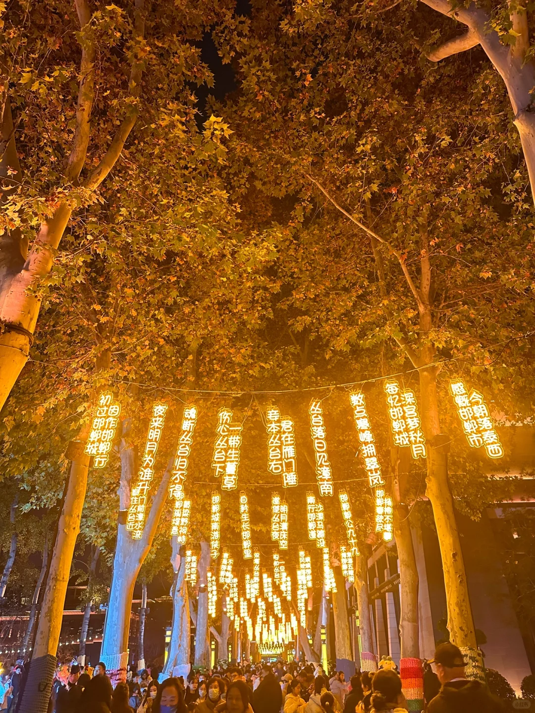 邯郸“下雪了”❄️12月1日实景温馨提示🌟