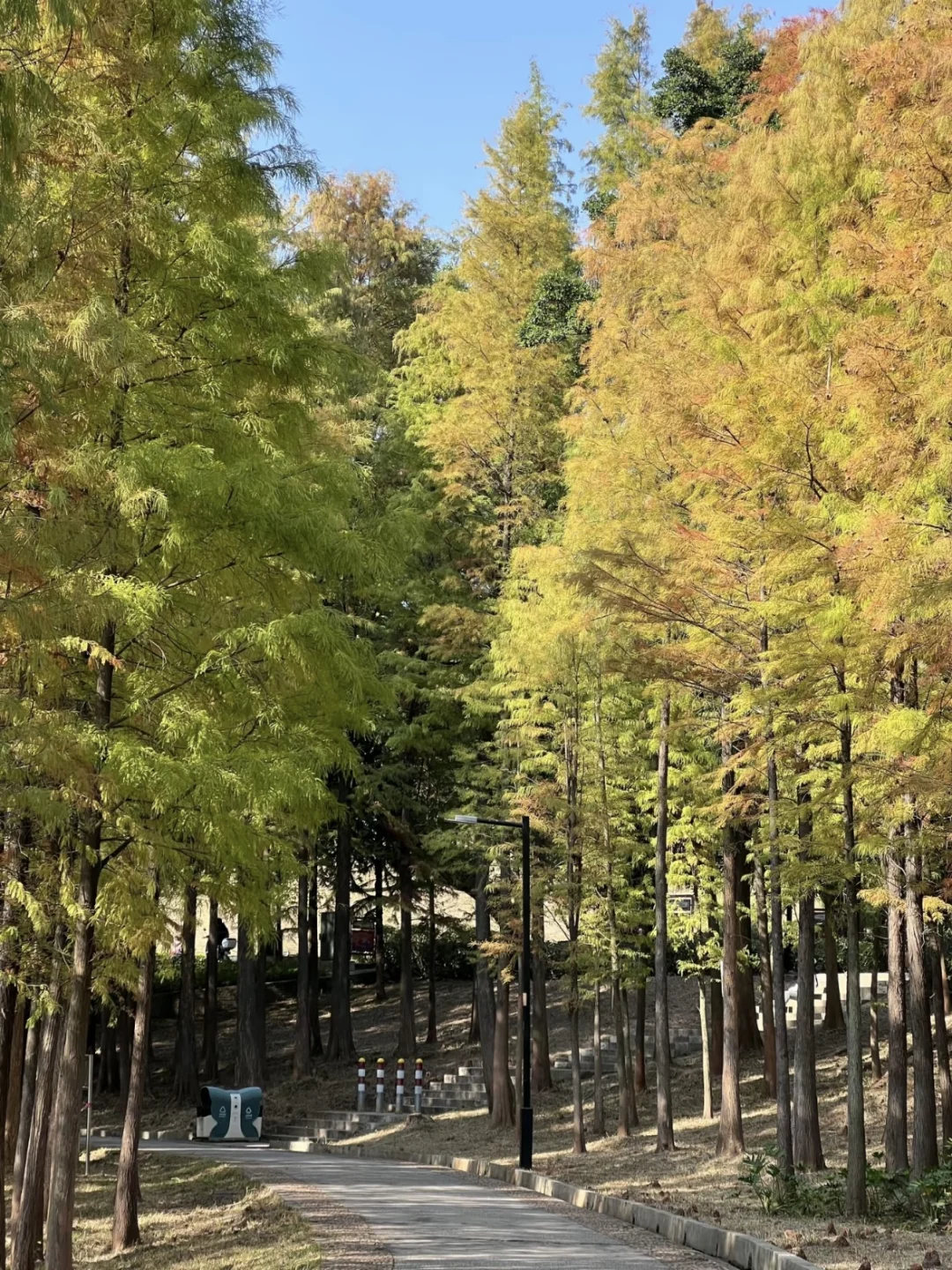 WeChat|邯郸旅游文案来啦~